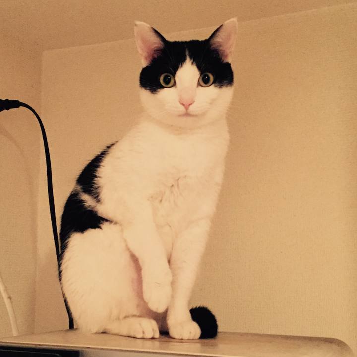 Bbd88e08 4088 49b8 b0be 29cb05ec1cc8