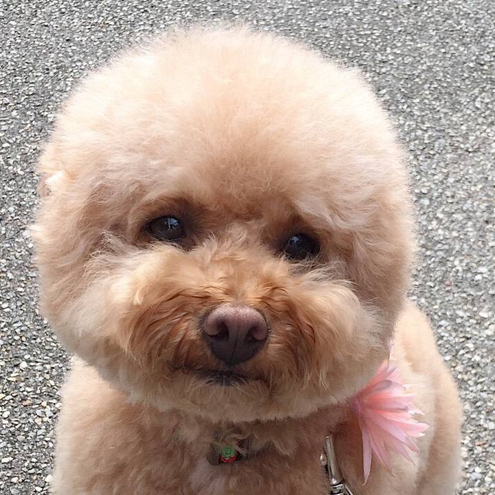 Bbd987f6 eb3c 4dc9 992c 8374005c84a1