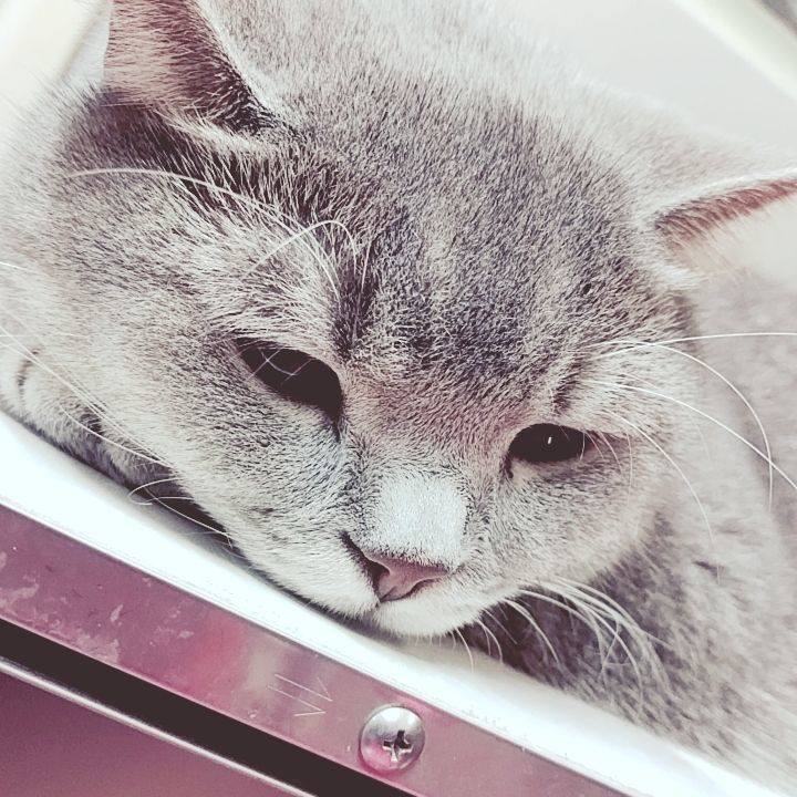 Bbd99923 b3a9 4b36 828c 9fe1dacf4da9