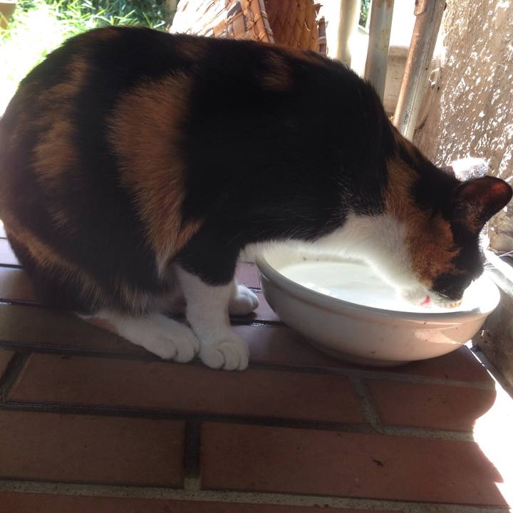 Bbd9d987 72f1 4599 bbe5 7b98815e19ac