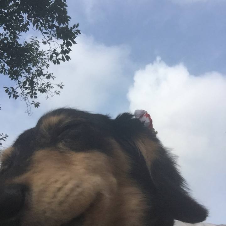 Bbda0c36 2abd 4024 9b9a a3e9f08c0bff