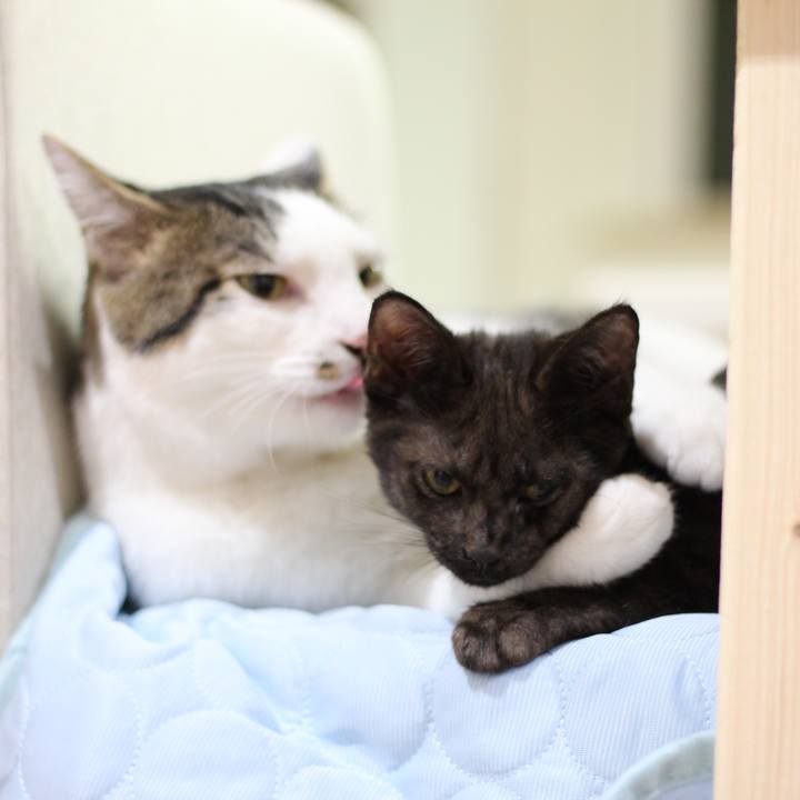 Bbda35ef 3fb9 4875 9aa4 e34816462bc3