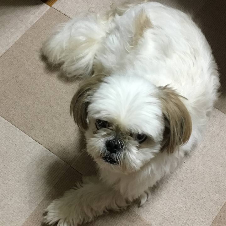 Bbdb03dc cd48 408f b85c d279780e39c7