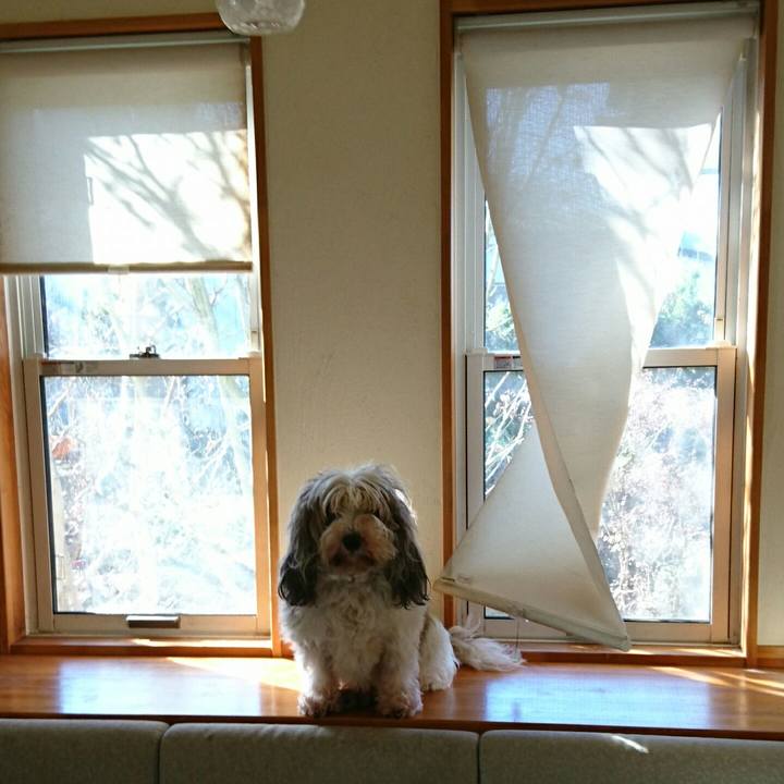 Bbdb1b03 d82a 4887 b623 33a2c49bf624