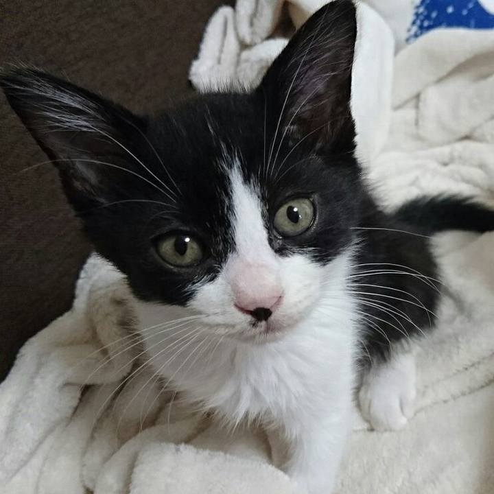 Bbdcf1c3 fe5c 404e 80da 15f73bbec8a1