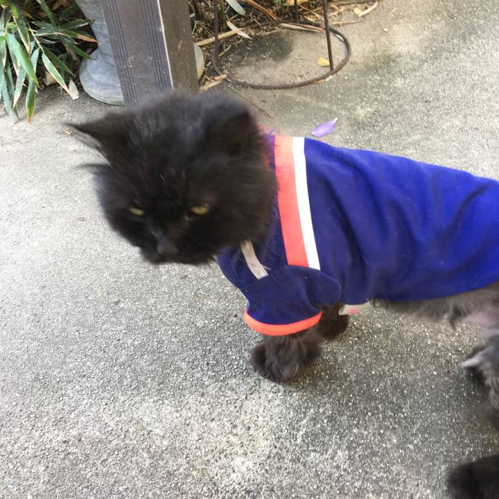 Bbdd132d b6d0 4dde bed0 db51a7ba4d99