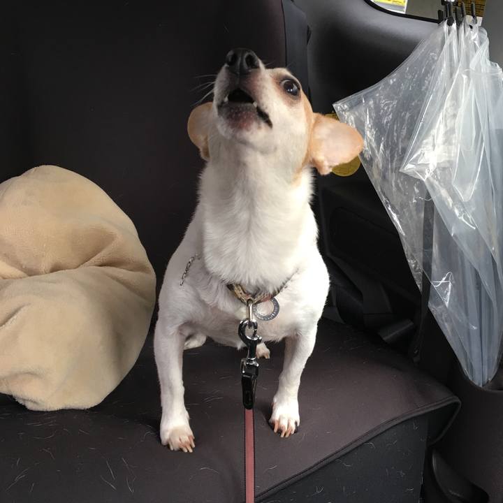 Bbde0a52 5960 44e8 b38d 90266108de4c