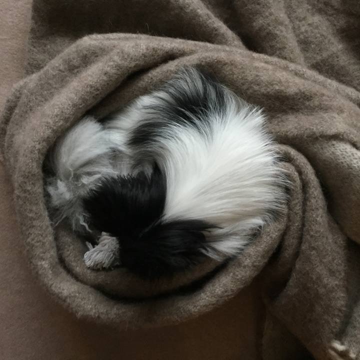 Bbde649c dd55 437c 8388 8c85b35bbbf9