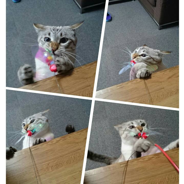 Bbde6e50 b940 4ead 94ab 4310ecfecdc7