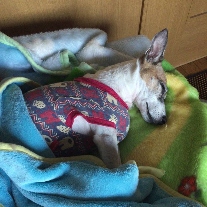 Bbdecdab 0359 4553 b5cc ae9fb63c0221