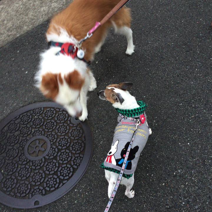 Bbdf8969 b4b6 44ad 831a 86a605f9b88d