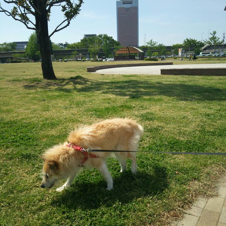 Bbdfaf68 cde9 4d9d bef2 31debc59985e