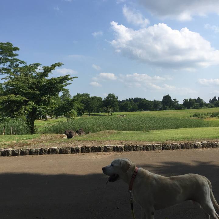 Bbe0e827 6698 4c13 a8f6 82a55af6f2dc