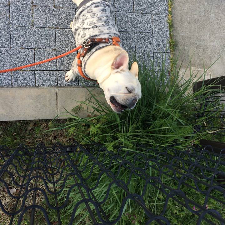 Bbe0fd7b 038a 425d ae49 6e22297e29a8