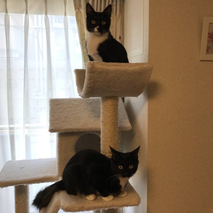 Bbe1030a 05c5 43d4 b68b 8c7caafca56f