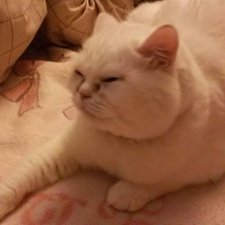 Bbe17747 7ee7 4ca5 8fb1 cc7dfc216629