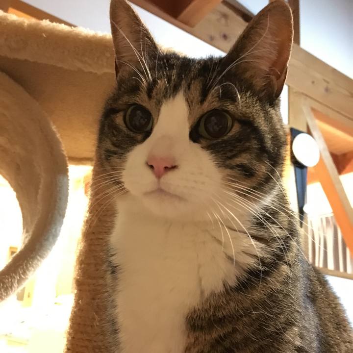 Bbe17d27 f0f4 470b 85bd 6038701c6447