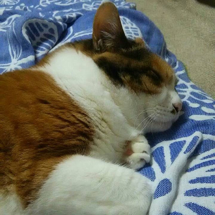 Bbe2103e 5d37 4287 af68 2974a067bb21