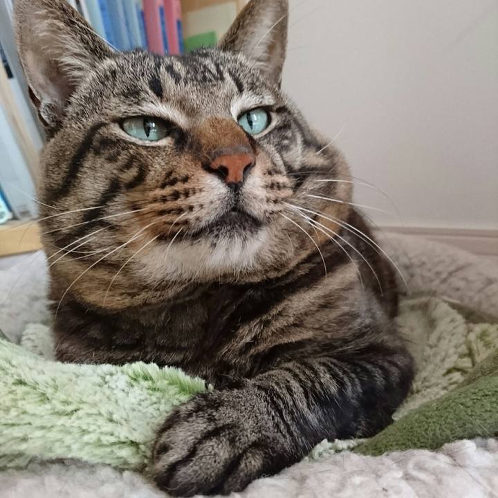 Bbe22be3 a616 4a7f bb9f 42da30db69fe