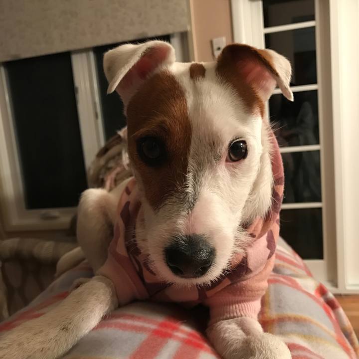 Bbe260f1 5542 48f1 8848 de7e29771889