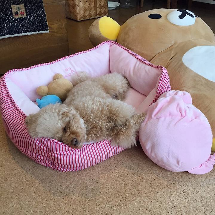 Bbe27bfa c6a7 487f bebe 0a0631d43bcf