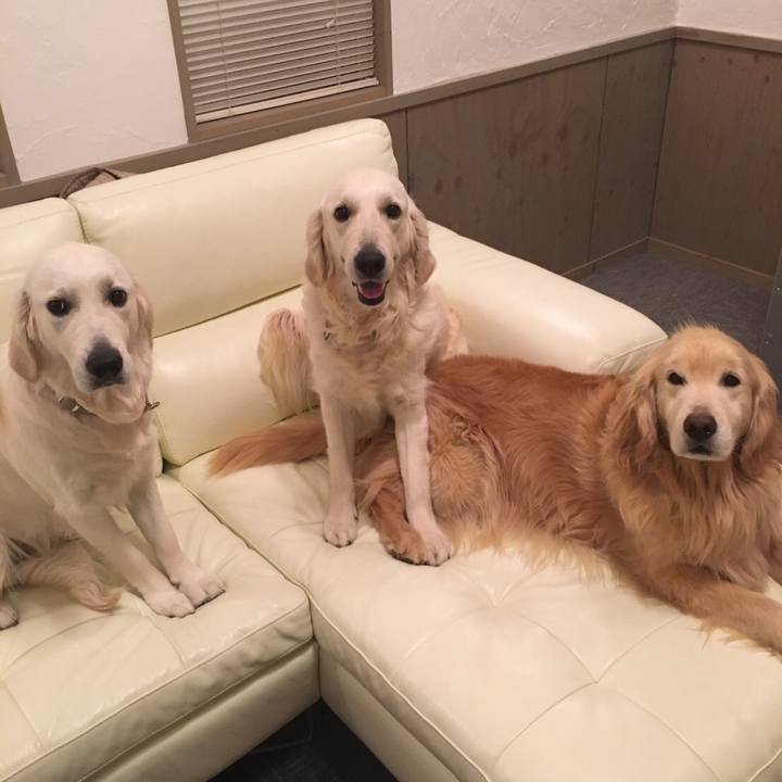 Bbe3425d 5d15 4b8a b155 70dcb47a471d