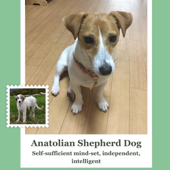 Bbe3ab07 bae6 40e5 ac99 746e655b32a8