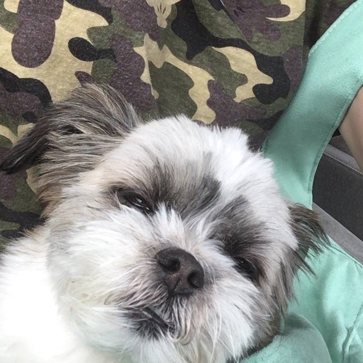 Bbe3c99c d863 4914 8359 9e32ab19860a