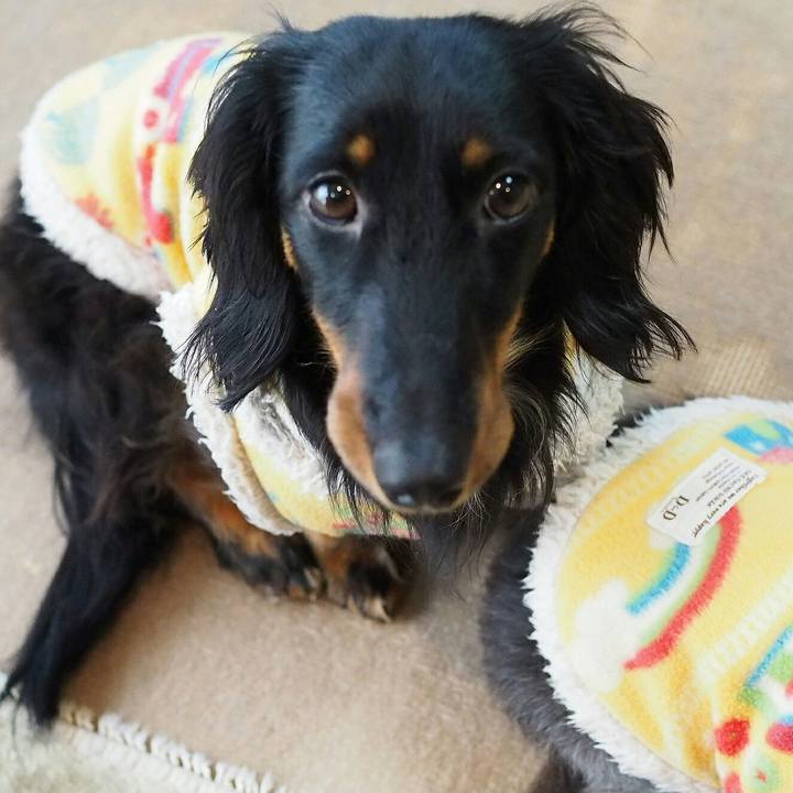 Bbe43afb 82b9 4fb8 b9b2 f37de61eb0e0