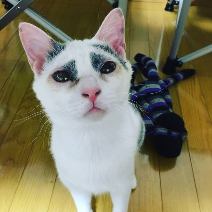 Bbe494b6 6ab8 4f3f ae83 6d7bffb045fe