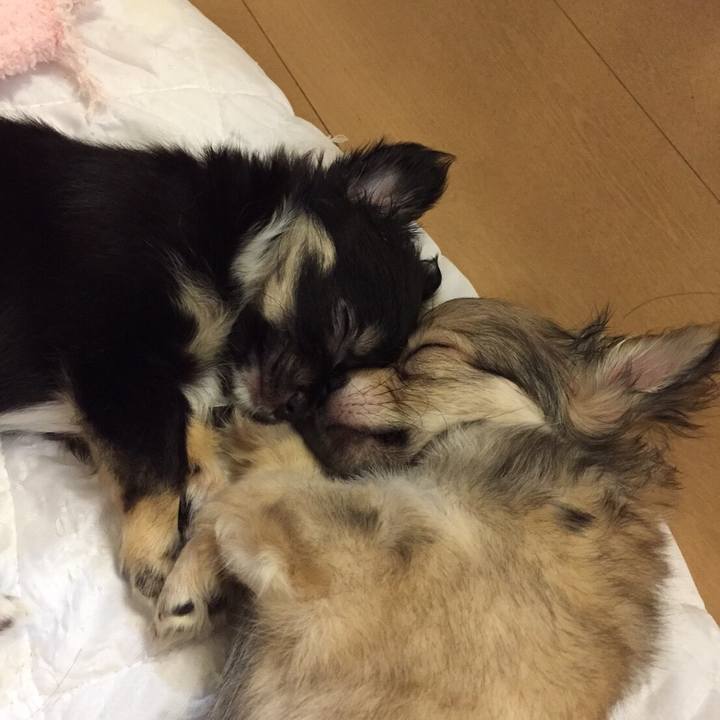 Bbe4fd24 a6c2 4db5 9a67 0bb2c5831482