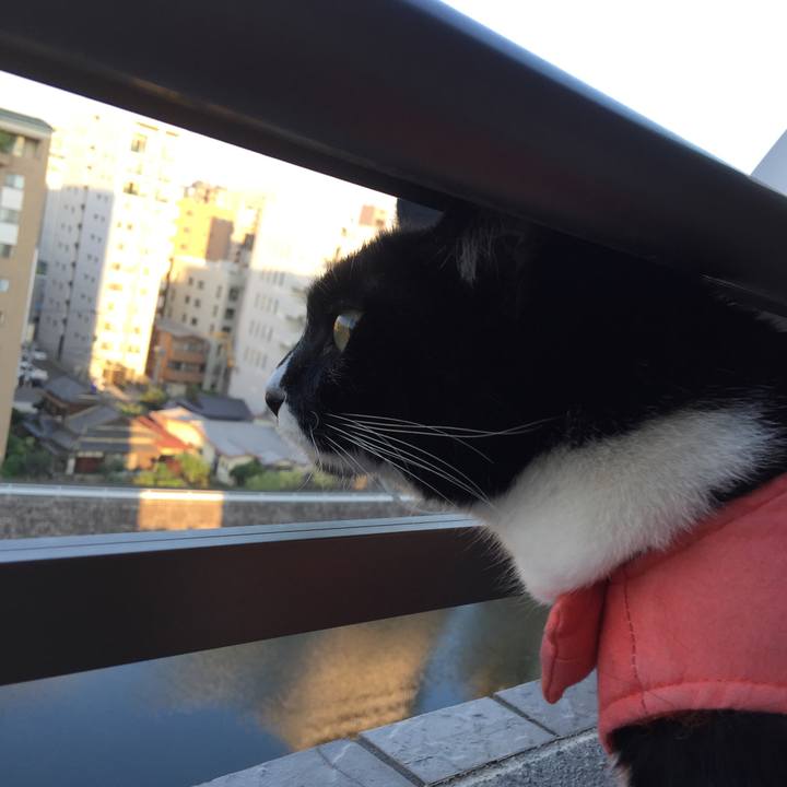 Bbe57e0f c475 4277 8e5c 8d49a0a72beb