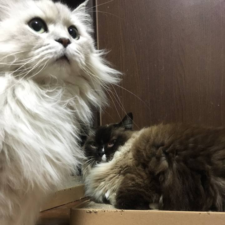 Bbe6b75b c973 4596 8215 00a3804046a7