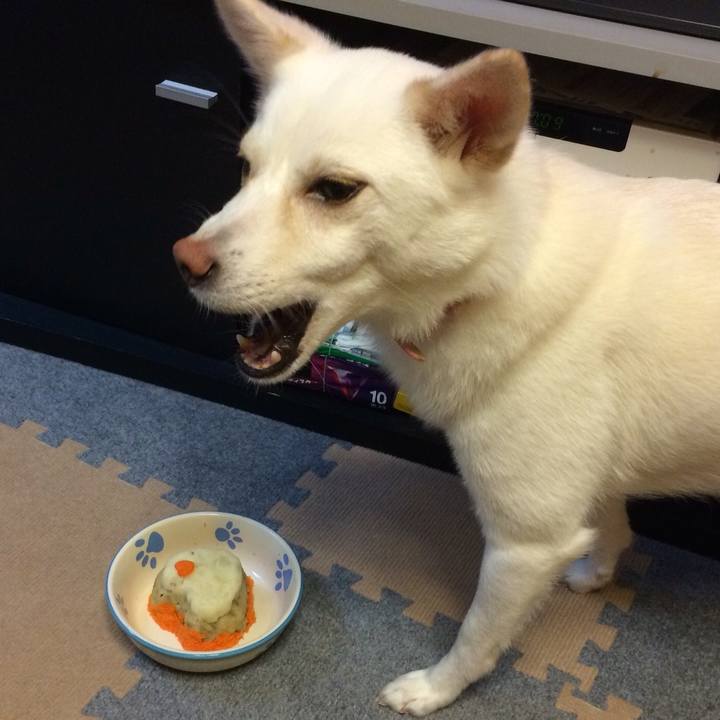 Bbe6df0e 1a7f 4f63 aed7 28dc20f64d3a