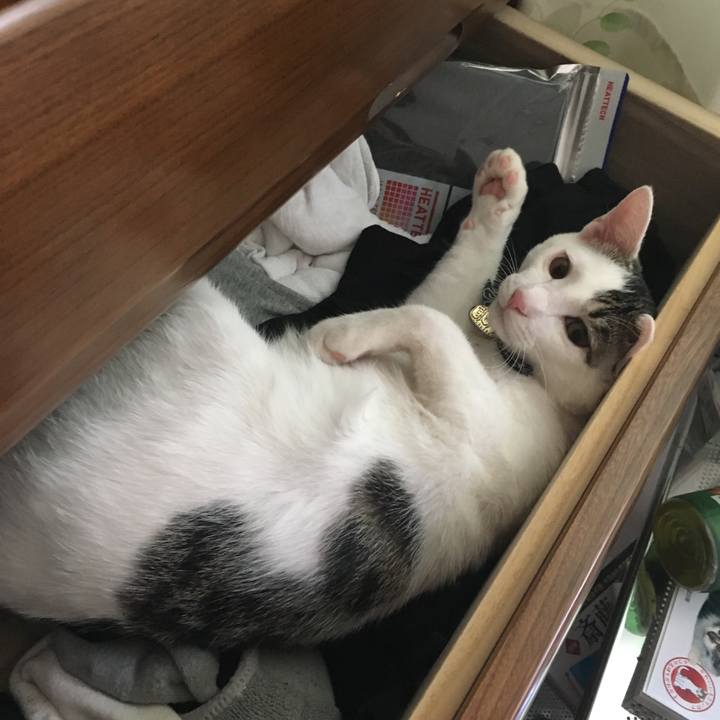 Bbe76501 1ad3 49bd 8a53 05a3835aa08a