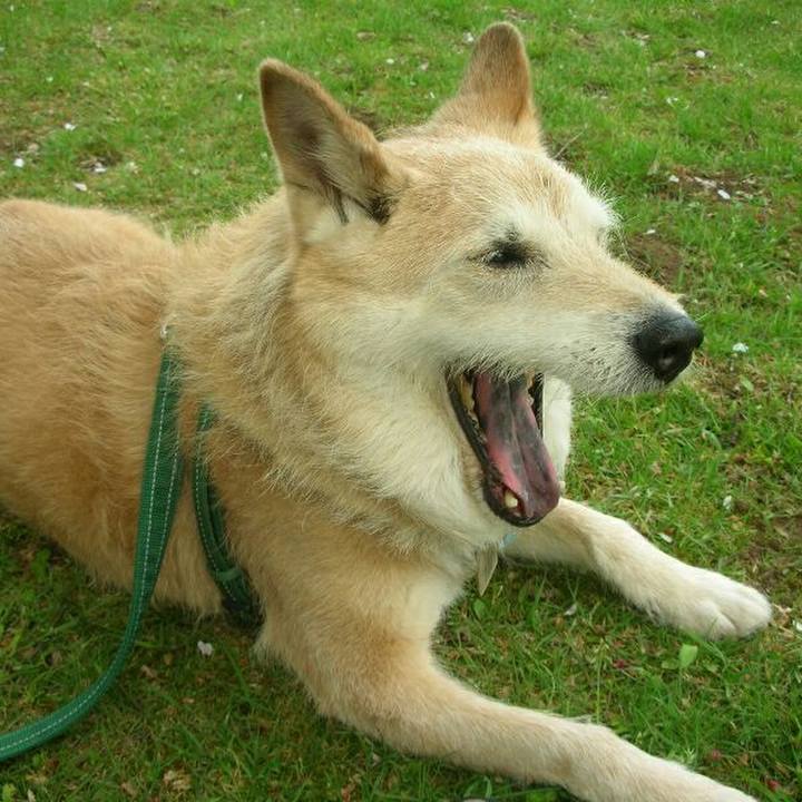 Bbe7ac42 2a8f 4444 b2f6 0f2324cd775e