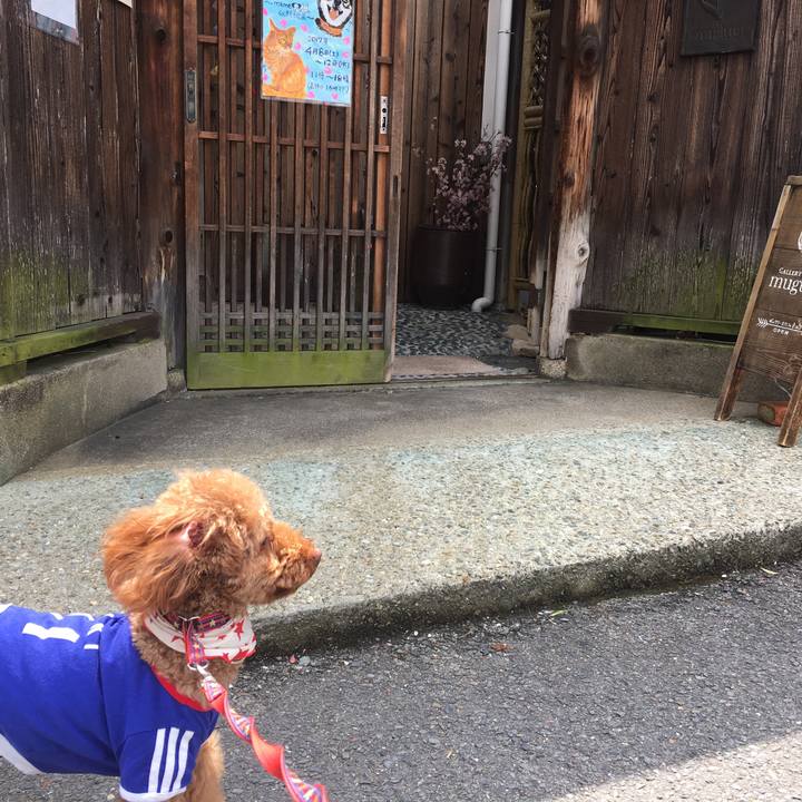 Bbe7cb90 1b33 4659 87b6 87fca3930748