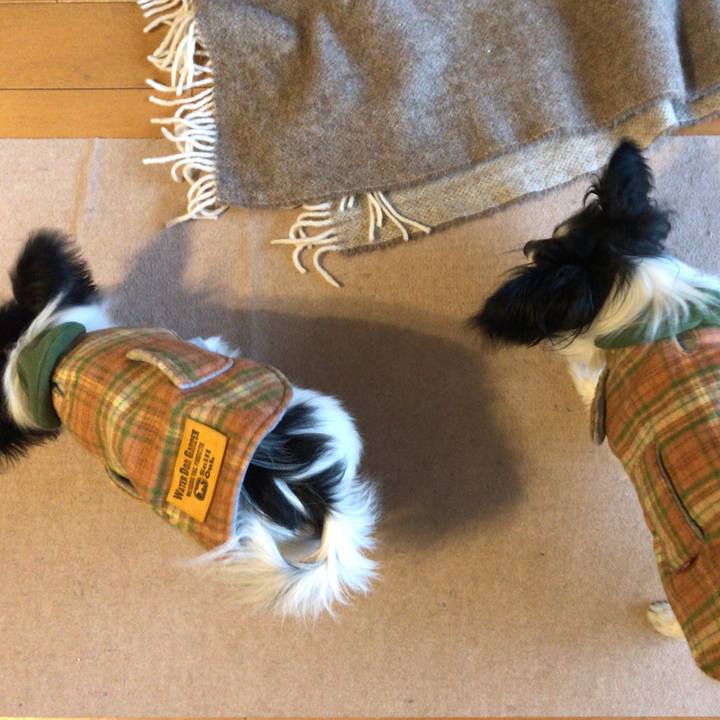 Bbe82c26 35c4 47a3 8ea1 b97c7a5e1c3a