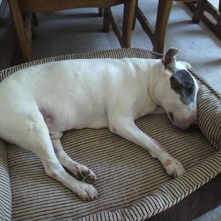 Bbe889d5 d6e1 4e9d 8b49 d33b35575eea