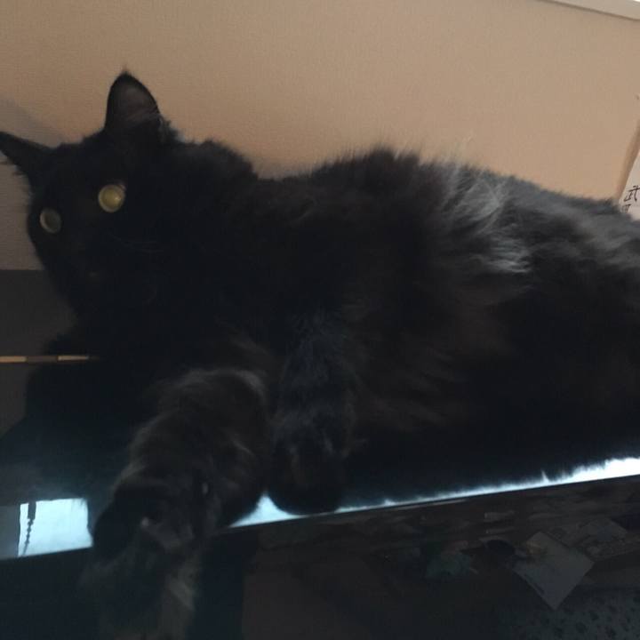 Bbe898cc 67e5 4387 95bb 26bf629fa805