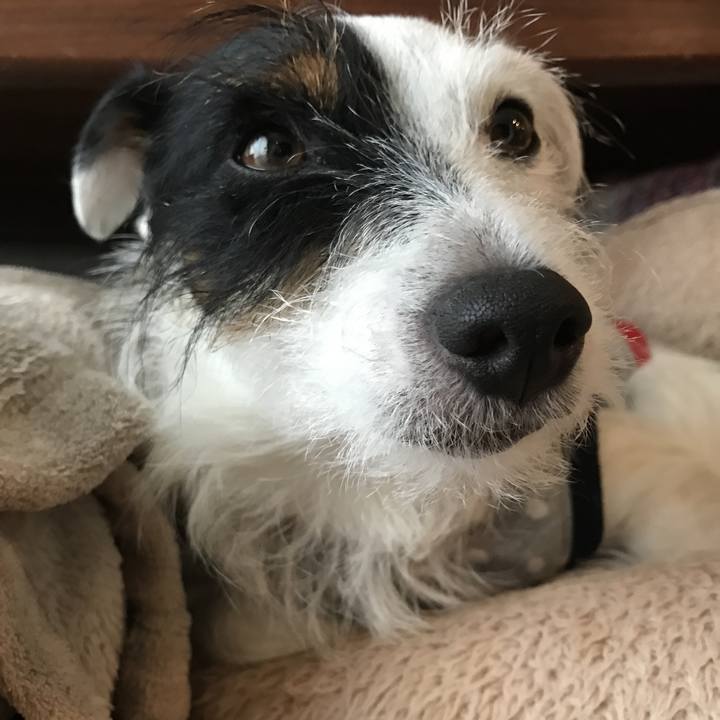 Bbe8ce46 f886 4385 b1ee 517c5eb59ef4