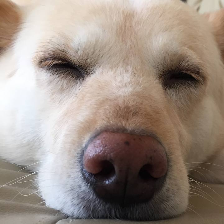 Bbe8e742 bd92 40c7 9775 c3ca1bc8a344