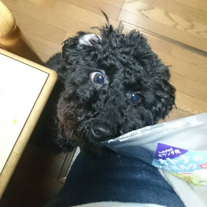 Bbe93883 f937 46a0 919f ba07b0ceb7dc