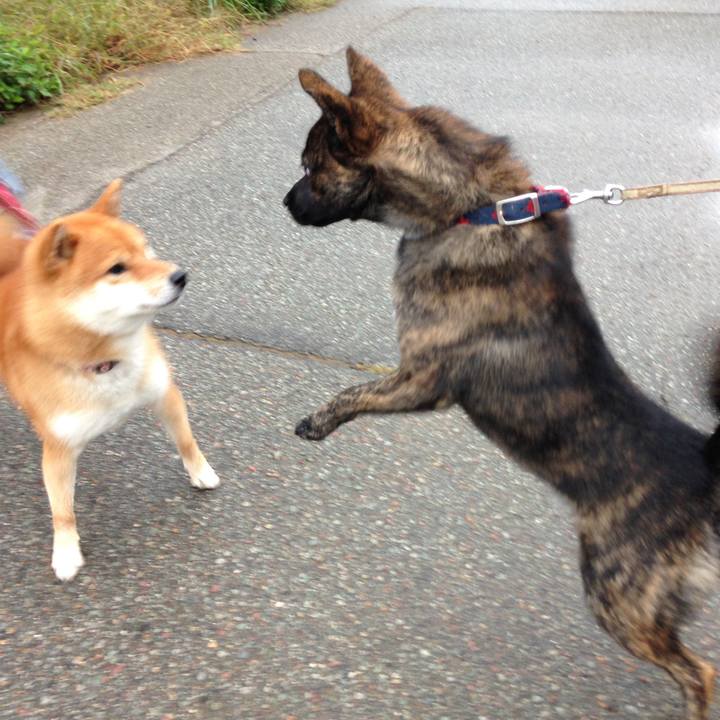 Bbea36d7 f5e4 4426 aa71 2bc253684d0e