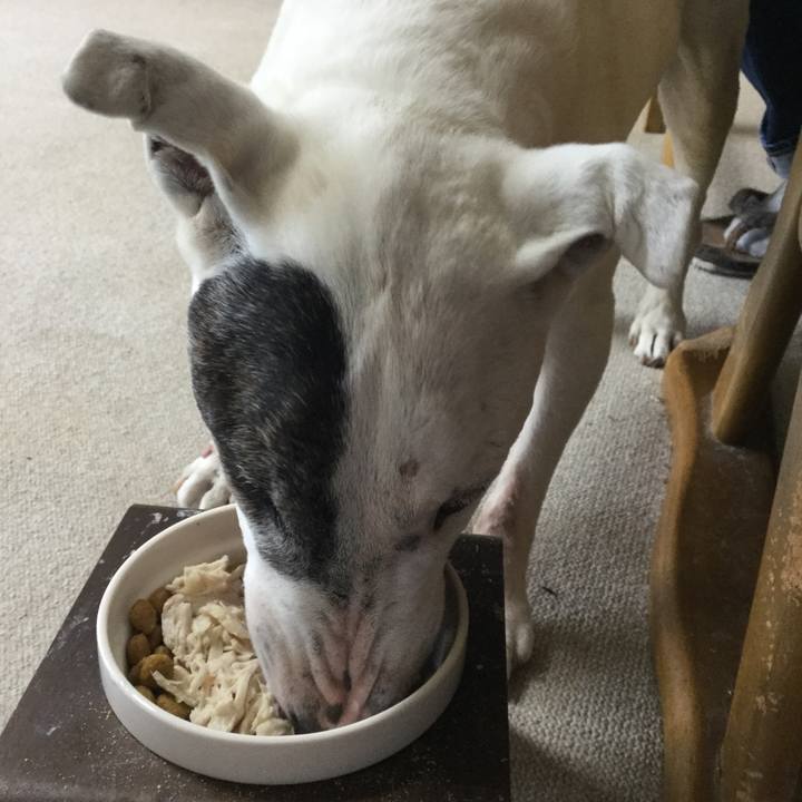 Bbea93a1 7024 4b8f b7d0 29f88353d8a9