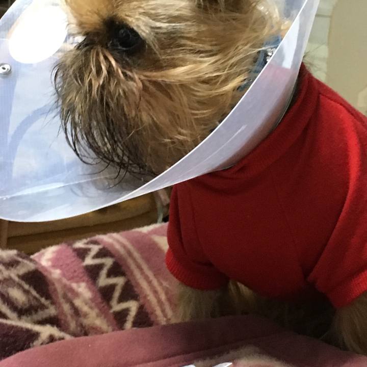 Bbeafa4c 7454 4c35 8ede ec584c98ed53