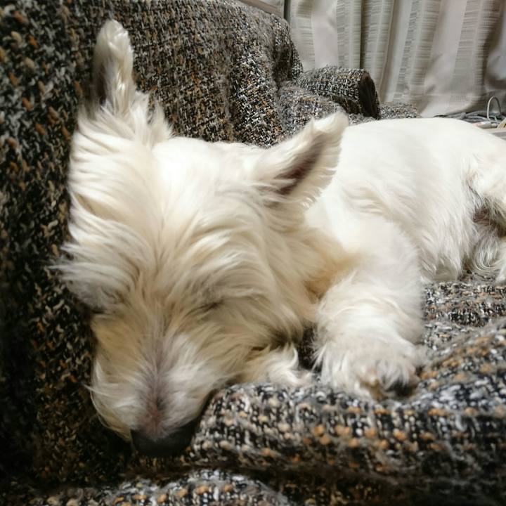 Bbeb5571 a6c0 49f0 9972 5e48d3fda873