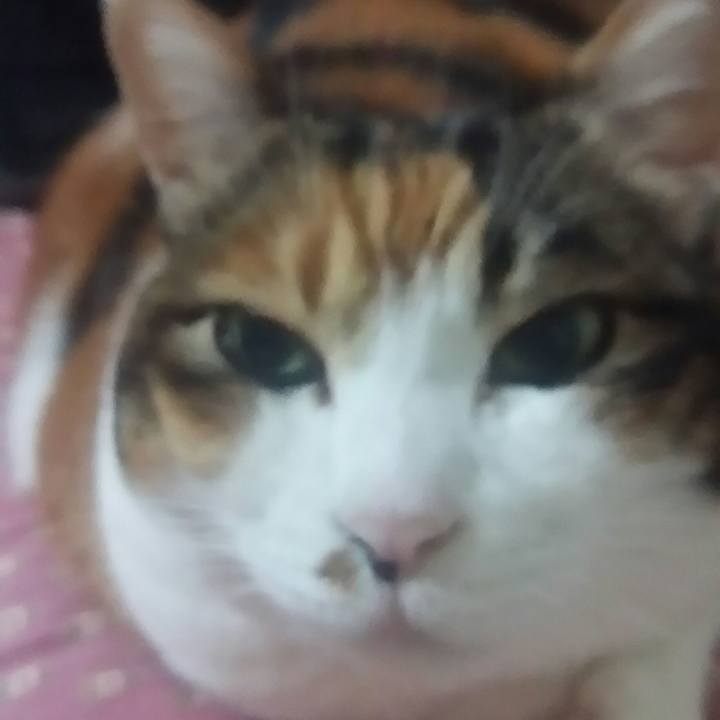 Bbebe306 fa84 4b21 852e b2b1402fcabd