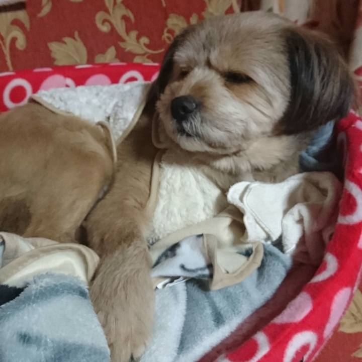 Bbebf1ca 5d16 4c98 8d50 542f991fd0b6