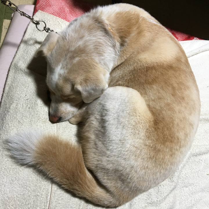 Bbec5d3f 38c7 4098 a3d9 9bc118958f97